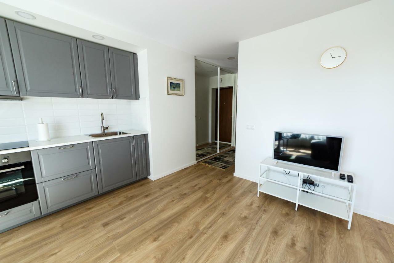 Spacious Close To The Old Town Vilnius